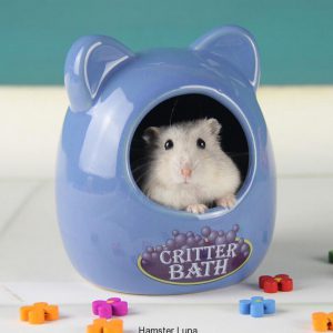 Hamster-3